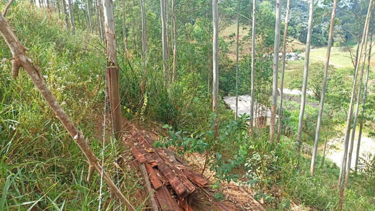 Imagem Chácara com 4 Quartos à Venda, 500 m² em Centro - Paraibuna Imagem Chácara com 4 Quartos à Venda, 500 m² em Centro - Paraibuna