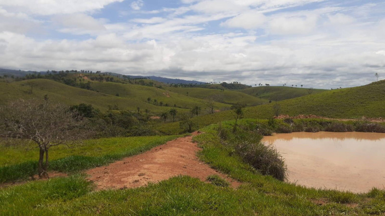 Imagem Fazenda à Venda, 1.950 m² em Centro - Córrego Danta Imagem Fazenda à Venda, 1.950 m² em Centro - Córrego Danta
