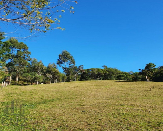 Terreno à Venda, 96.000 m² em Dom Joaquim - Brusque