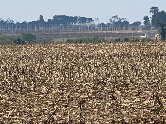 Fazenda à Venda, 108 m² em Zona Rural - Sinop