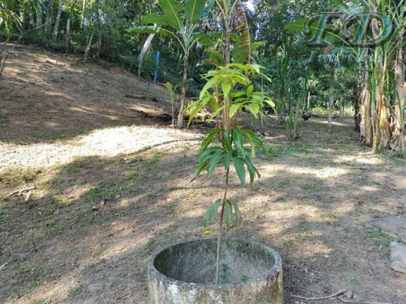 Imagem Chácara com 3 Quartos à Venda, 3.185 m² em Portão - Atibaia