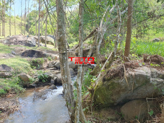 Imagem Imóvel à Venda, em Dom Viçoso - Dom Viçoso Imagem Imóvel à Venda, em Dom Viçoso - Dom Viçoso