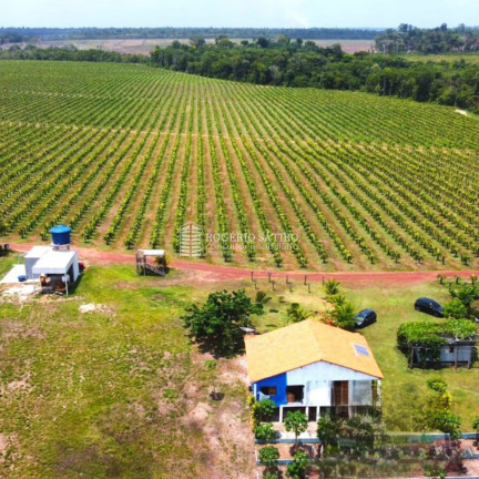Imagem Imóvel com 3 Quartos à Venda, 9.600.000 m² em Centro  - Tomé-açú