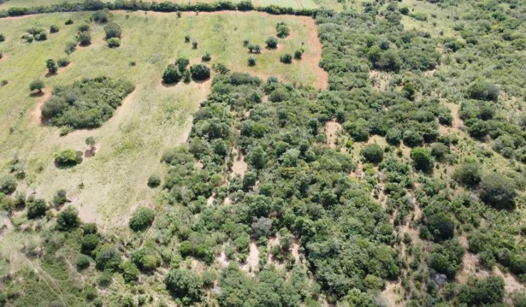Imagem Fazenda à Venda, 310.000 m² em Br 116 - Euclides Da Cunha Imagem Fazenda à Venda, 310.000 m² em Br 116 - Euclides Da Cunha