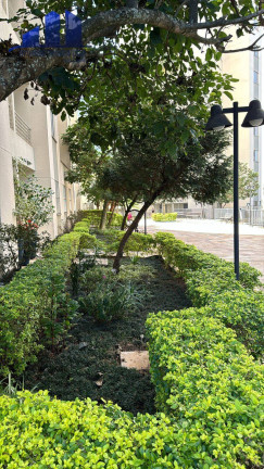 Imagem Apartamento com 2 Quartos à Venda, 47 m² em Jardim Monte Alegre - São Paulo