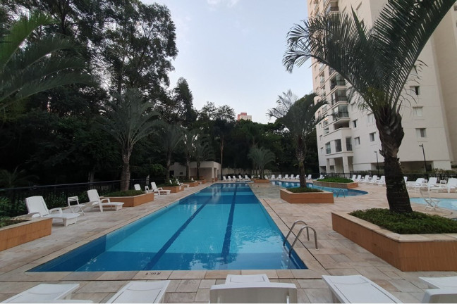 Imagem Apartamento com 3 Quartos à Venda, 81 m² em Vila Amélia - São Paulo