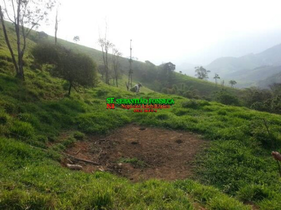Imagem Chácara à Venda, 20.000 m² em São Francisco Xavier - São José Dos Campos Imagem Chácara à Venda, 20.000 m² em São Francisco Xavier - São José Dos Campos