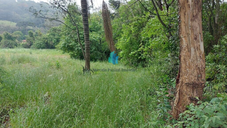 Imagem Terreno à Venda, 10.159 m² em Vale Dos Vinhedos - Bento Gonçalves Imagem Terreno à Venda, 10.159 m² em Vale Dos Vinhedos - Bento Gonçalves