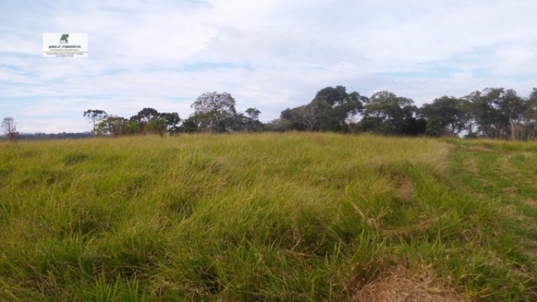 Imagem Terreno à Venda, 235.000 m² em Sorocamirim - São Roque Imagem Terreno à Venda, 235.000 m² em Sorocamirim - São Roque
