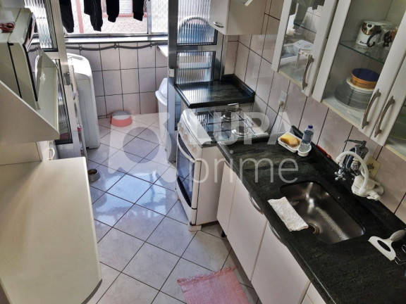 Imagem Apartamento com 3 Quartos à Venda, 64 m² em Vila Constança - São Paulo Imagem Apartamento com 3 Quartos à Venda, 64 m² em Vila Constança - São Paulo