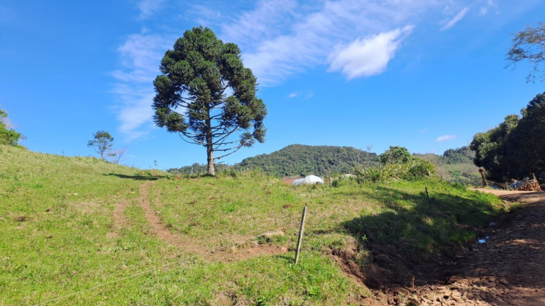 Imagem Chácara com 4 Quartos à Venda, 365.000 m² em Centro - Vale Do Sol
