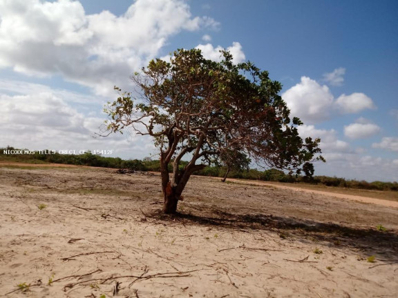 Imagem Terreno à Venda, 250 m² em Jardim - Paracuru Imagem Terreno à Venda, 250 m² em Jardim - Paracuru
