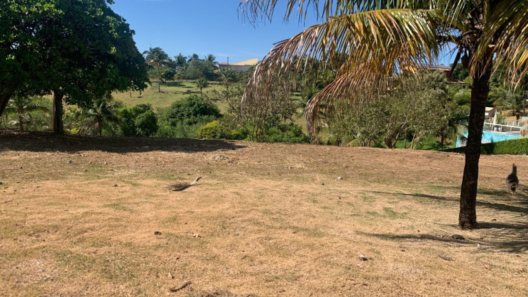 Imagem Terreno à Venda, 3.200 m² em Nova Guarapari - Guarapari Imagem Terreno à Venda, 3.200 m² em Nova Guarapari - Guarapari