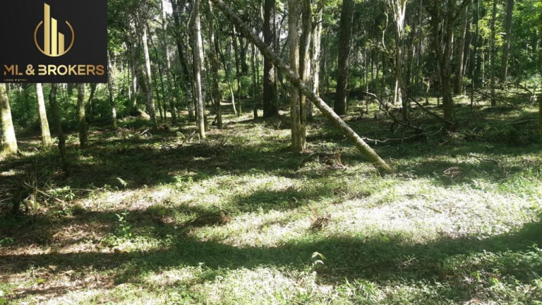 Imagem Imóvel à Venda, 60.500 m² em Quitandinha - Quitandinha Imagem Imóvel à Venda, 60.500 m² em Quitandinha - Quitandinha