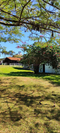 Imagem Imóvel com 14 Quartos à Venda, 25.000 m² em Centro - Itapetininga Imagem Imóvel com 14 Quartos à Venda, 25.000 m² em Centro - Itapetininga