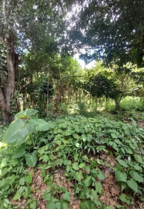 Imagem Terreno à Venda, 5 m² em Aldeia Dos Camarás - Camaragibe Imagem Terreno à Venda, 5 m² em Aldeia Dos Camarás - Camaragibe