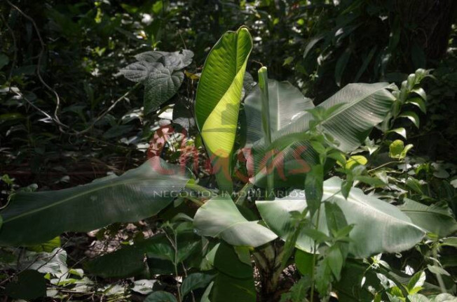 Imagem Terreno à Venda, 3.696 m² em Barranco Alto - Caraguatatuba