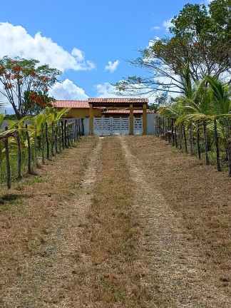 Fazenda à Venda, 10 m² em Planalto Ii - Catu