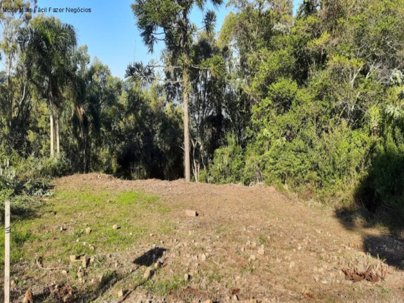 Terreno à Venda, 391 m² em Pinhal Alto - Nova Petrópolis