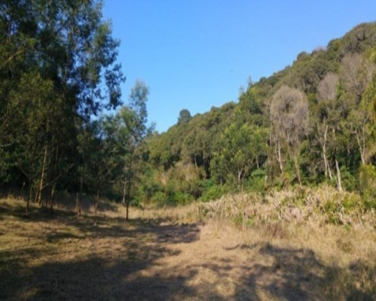 Terreno à Venda, 3 m² em Fazenda Pirajá - Nova Petrópolis