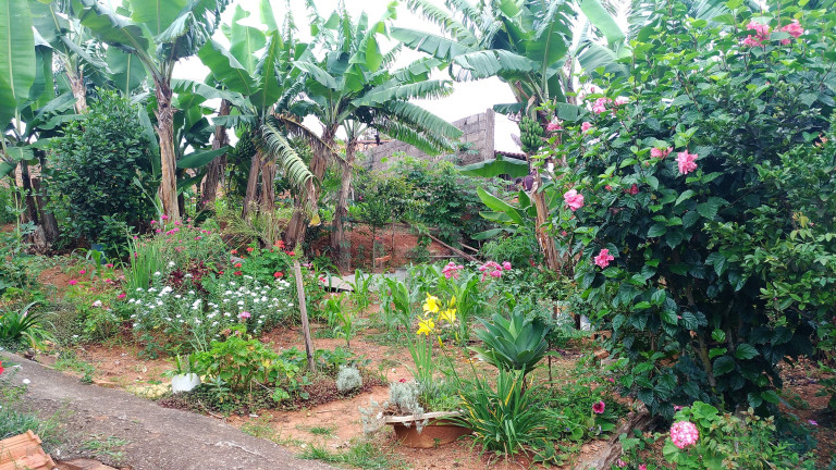 Imagem Casa com 1 Quarto à Venda, 33 m² em Centro - Bandeira Do Sul