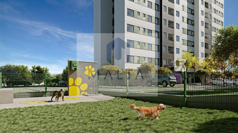 Imagem Apartamento com 2 Quartos à Venda, 45 m² em Santa Terezinha - Belo Horizonte Imagem Apartamento com 2 Quartos à Venda, 45 m² em Santa Terezinha - Belo Horizonte