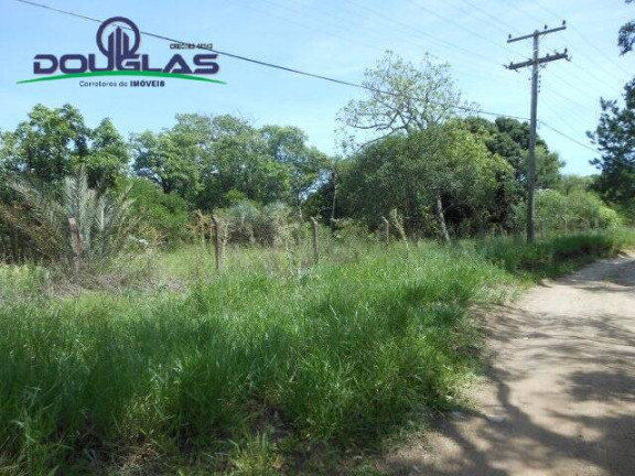 Imagem Imóvel Comercial à Venda, 13 m² em Viamão Imagem Imóvel Comercial à Venda, 13 m² em Viamão