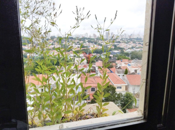 Imagem Apartamento com 3 Quartos à Venda, 117 m² em Mirandópolis - São Paulo