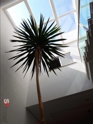 Imagem Casa com 3 Quartos à Venda, 175 m² em Vila Floresta - Santo André Imagem Casa com 3 Quartos à Venda, 175 m² em Vila Floresta - Santo André