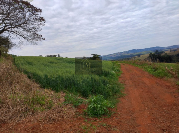 Imagem Terreno à Venda, 2.600 m² em Tomazina - Tomazina Imagem Terreno à Venda, 2.600 m² em Tomazina - Tomazina