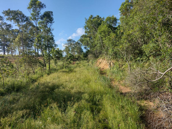 Imagem Terreno à Venda, 20.000 m² em Alto Perequê - Arroio Do Padre Imagem Terreno à Venda, 20.000 m² em Alto Perequê - Arroio Do Padre