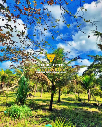 Imagem Imóvel com 2 Quartos à Venda, 80.000 m² em Yaya - Santa Cruz Cabrália Imagem Imóvel com 2 Quartos à Venda, 80.000 m² em Yaya - Santa Cruz Cabrália