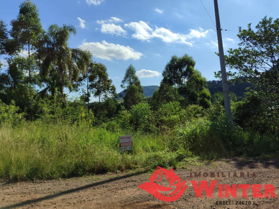 Imagem Chácara à Venda, 5 m² em Canto Lippert - Linha Nova