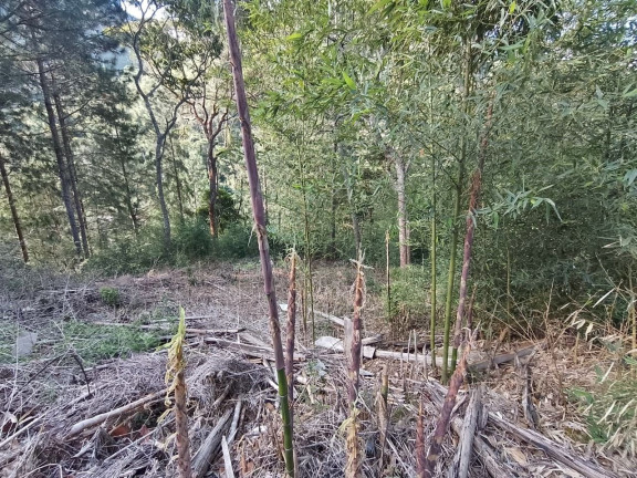 Imagem Terreno à Venda, 1.530 m² em Cascata Dos Amores - Teresópolis Imagem Terreno à Venda, 1.530 m² em Cascata Dos Amores - Teresópolis