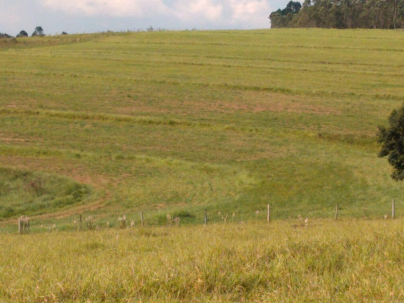 Imagem Fazenda à Venda, 59 m² em Rural - Guareí Imagem Fazenda à Venda, 59 m² em Rural - Guareí