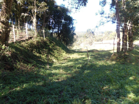 Imagem Terreno à Venda, 515 m² em Bateias - Campo Largo Imagem Terreno à Venda, 515 m² em Bateias - Campo Largo
