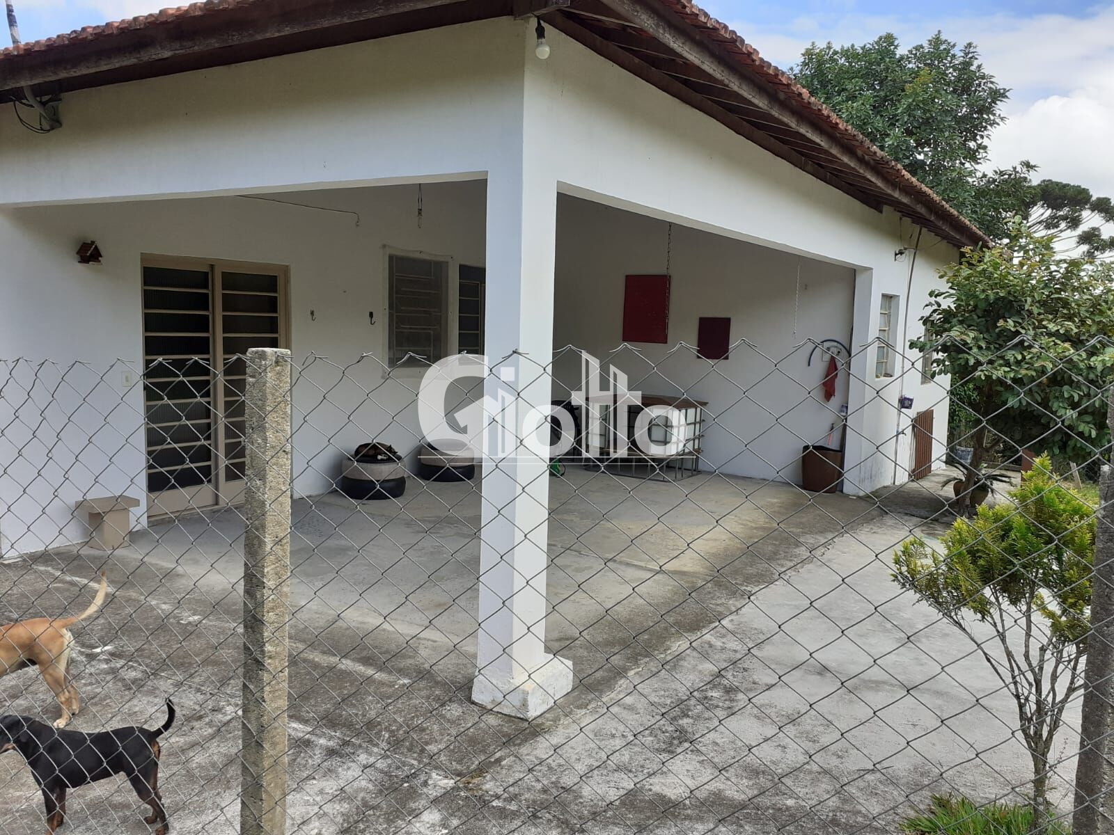 Imagem Imóvel com 3 Quartos à Venda, 17.000 m² em Parque São Martinho - Mogi Das Cruzes