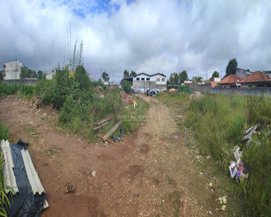 Imagem Terreno à Venda, 5.000 m² em Centro - Pinhais