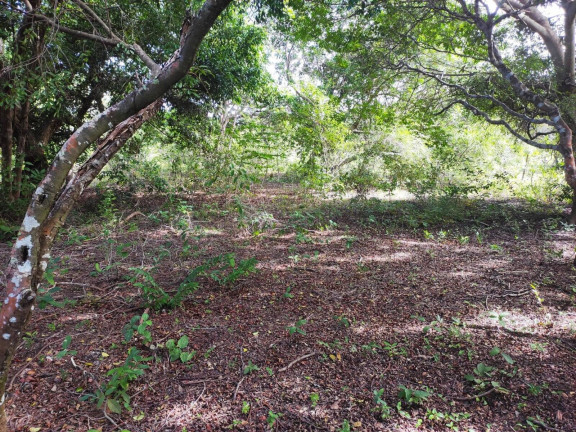 Imagem Terreno à Venda, 1.857 m² em Estrada Para A Praia De Sibaúma - Tibau Do Sul Imagem Terreno à Venda, 1.857 m² em Estrada Para A Praia De Sibaúma - Tibau Do Sul