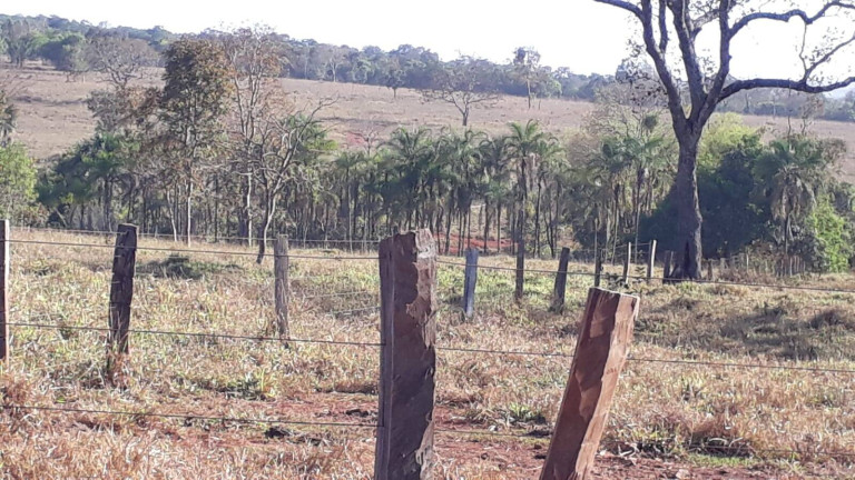 Imagem Fazenda à Venda, 314 m² em Zona Rural - Ituiutaba Imagem Fazenda à Venda, 314 m² em Zona Rural - Ituiutaba