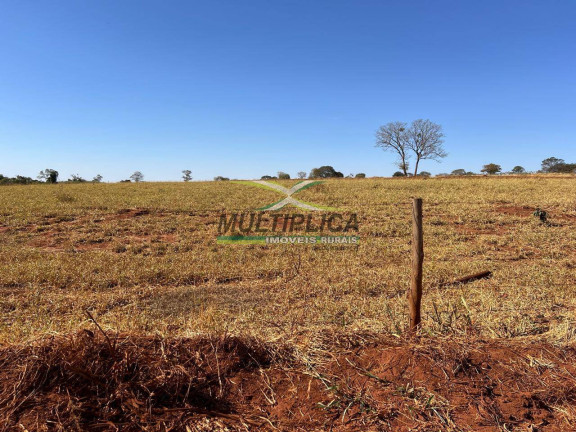 Imagem Fazenda à Venda, 469 m² em União De Minas