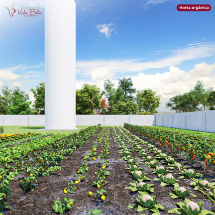 Imagem Terreno à Venda, 1.000 m² em Residencial Vida Bela - Quadra Imagem Terreno à Venda, 1.000 m² em Residencial Vida Bela - Quadra