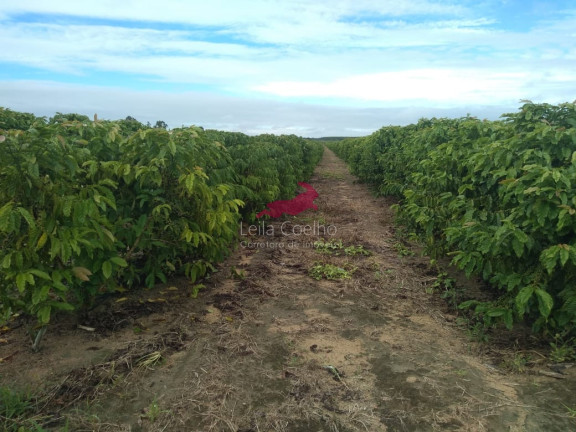 Imagem Fazenda à Venda, 600 m² em Caraíva - Porto Seguro Imagem Fazenda à Venda, 600 m² em Caraíva - Porto Seguro