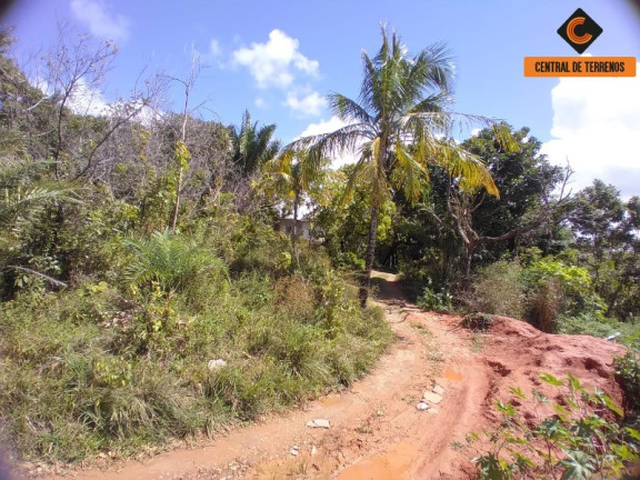 Imagem Terreno à Venda, 29.340 m² em Mussurunga - Salvador Imagem Terreno à Venda, 29.340 m² em Mussurunga - Salvador