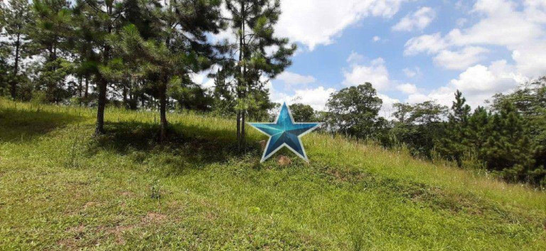 Imóvel à Venda, 74.000 m² em Fazenda Vitoria - São Lourenço Da Serra