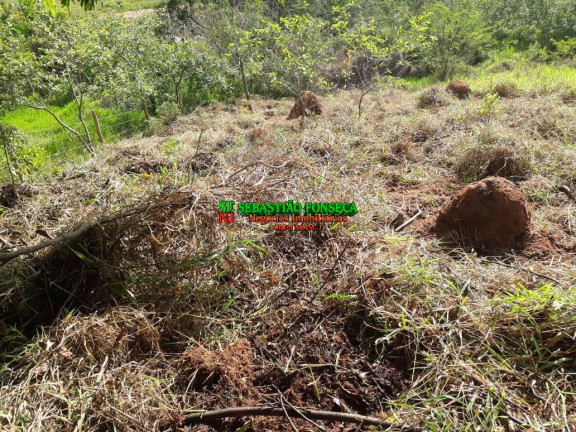 Imagem Chácara à Venda, 750 m² em Sob. Consulta - Paraibuna Imagem Chácara à Venda, 750 m² em Sob. Consulta - Paraibuna