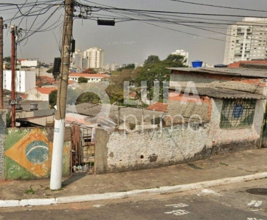 Imagem Terreno à Venda, 50 m² em Vila Maria Alta - São Paulo Imagem Terreno à Venda, 50 m² em Vila Maria Alta - São Paulo