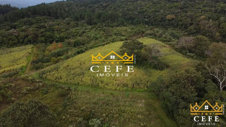 Imagem Sala Comercial à Venda, 200 m² em Serra Grande - Três Coroas Imagem Sala Comercial à Venda, 200 m² em Serra Grande - Três Coroas