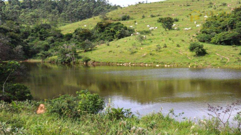 Imagem Fazenda à Venda, 484.000 m² em Piraí Acima - Itu Imagem Fazenda à Venda, 484.000 m² em Piraí Acima - Itu