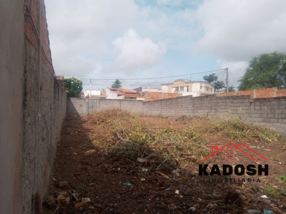 Imagem Terreno à Venda, 300 m² em Lagoa Salgada - Feira De Santana Imagem Terreno à Venda, 300 m² em Lagoa Salgada - Feira De Santana
